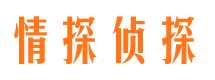 噶尔市侦探调查公司